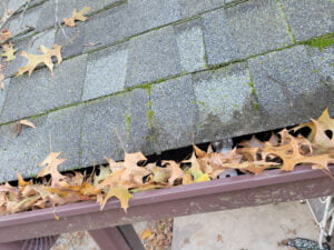 leaves clogging gutter