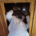 Justin, JD, Taggart, inspecting attic.